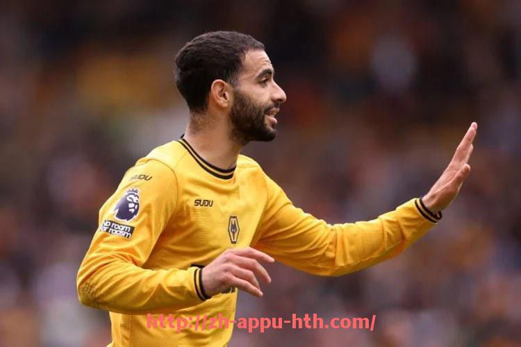 华体会hth官方网站下载-成绩起伏最大的德甲球队是哪支？数据统计分析