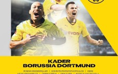 华体会hth官方网站下载-法甲外援市场热度变化及投资价值分析