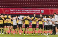 华体会hth官方网站下载-法甲官方指定比赛用球品牌与参数说明