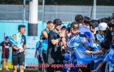 华体会hth官方网站下载-法甲战术系统优化策略与球队适配性研究